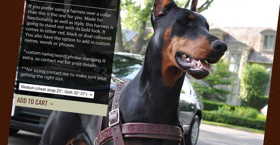 canine_3